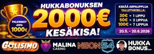 Hukkabonuksen 2000€ Kesäkisa